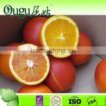 New crop Navel Orange, china navel orange, china fresh orange