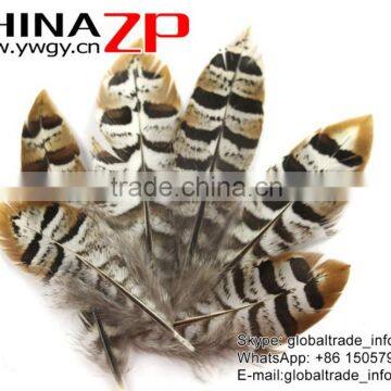 CHINAZP Bulk Sale Selected Prime Quality Natural 5-10cm Size Reeves Venery Pheasant Feathers for DIY Decorations photo-4