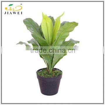 hot sale artificial decorative plastic birdsnest fern plant bonsai