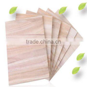 Taekwondo Board photo-3