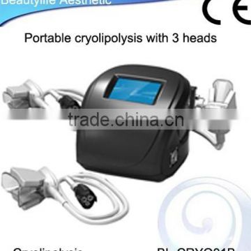 3 Handles Kryo Factory Portable Cool Sculpting Cryolipolysis Machine Increasing Muscle Tone