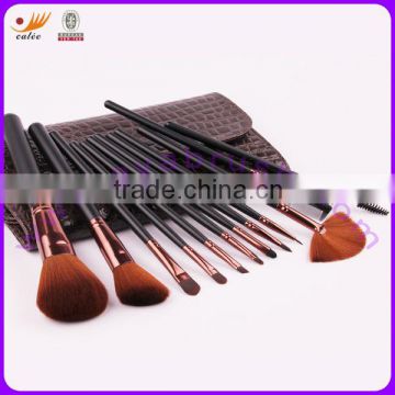 Professional 12pcs Synthetic Makeup Brush Set