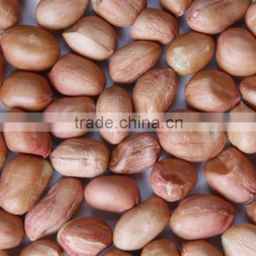 Java Peanuts suppliers