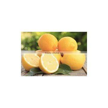 CITRUS FRUITS