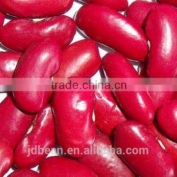 dark red kidney bean