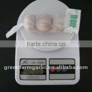 3p/500g/1kg normal white garlic