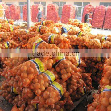 2014 cold storage fresh onion (10kg packing )