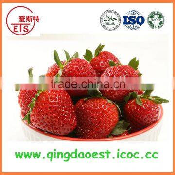 For sale Best quality Whole Fresh Strawberry