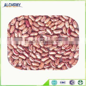 Alchemy long shape speckled light red kidney beans