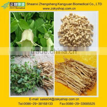 High Quality Herbal Extract Codonopsis Extract from Radix Codonopsis Pilosulae Root