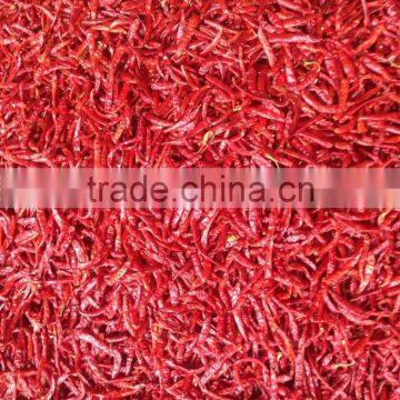 DRIED CHILLI photo-2
