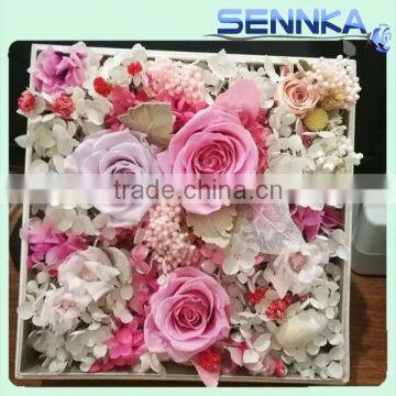 Preserved Flower Rose Display in Gift Box Elegant Flora Decorations for Love