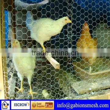 Chicken wire netting,chicken wire fencing,galvanised chicken wire mesh(factory price)