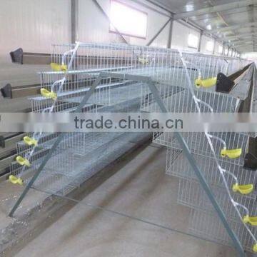 Pyramid Quail Cages For Sale