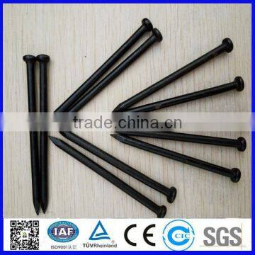 High quality black concrete steel nail prices