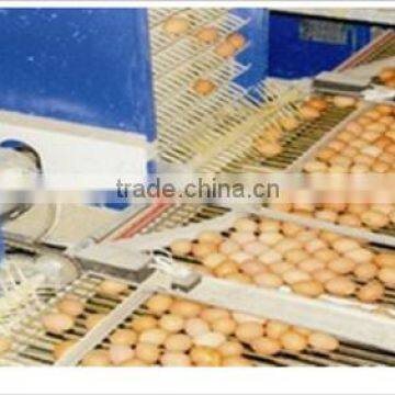 high quality factory product Automatc egg collecting system for chicken farm