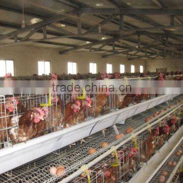 hot sell A type chicken cage chicken coop