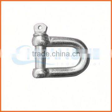 Factory Price Customized 304 Stainless Steel d Shackle photo-5