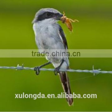 weight of barbed wire per meter length