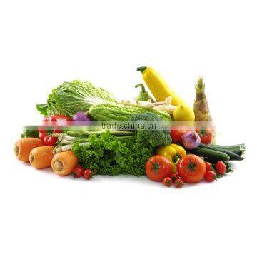 Ginger, Ginger, Ginger, Ginger, Ginger, Ginger, Ginger, Ginger, Ginger, Ginger, Ginger, Ginger, Ginger, Ginger, Cleaning, Peelin photo-4