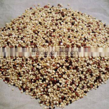 Quinoa Sorting Machine Color Sorter photo-2