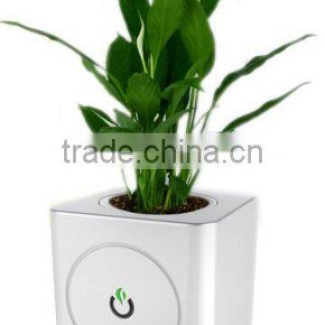 MINI SMART FLOWRE POT