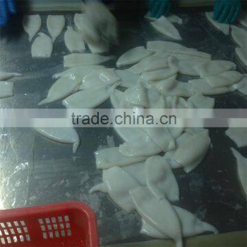 IQF U5 Pacific Squid Tube photo-2