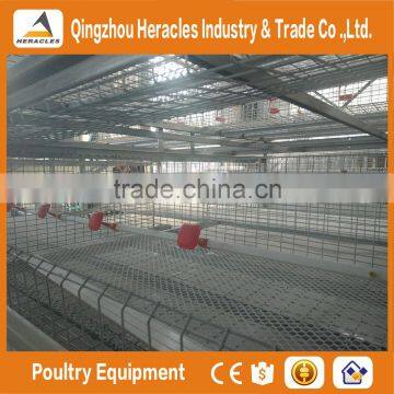 Shandong Heracles Trade Assurance Poultry Farming Equipment Chicken Layer Cage for Sale photo-5
