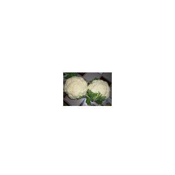 China Cauliflower