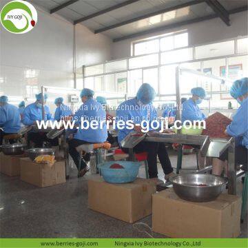 Factory Wholesale Dried Goji photo-4