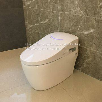 China Sanitary Ware intelligent Dual-Flush Feature One Piece Structure toilet