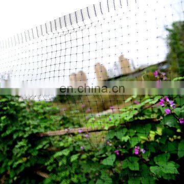 4x10M Garden PE Meshy Anti Bird Net Orchard Fruit Tree Vegetable Plant Bird Screen