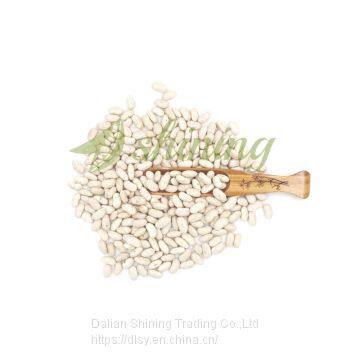 White Kidney Beans Long Shape Spanish Type