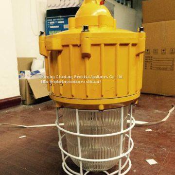 Integrated Explosion-proof Lamp Explosion-proof Bend Lamp 175W Explosion-proof Metal Halide Lamp Ccd92-l175b1z photo-5