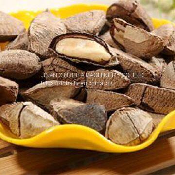 Машина для сушки фруктов типа абалон photo-4