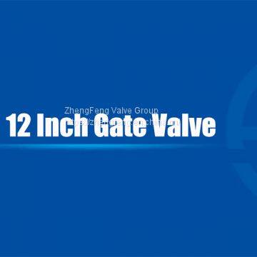 12 Inch Gate Valve