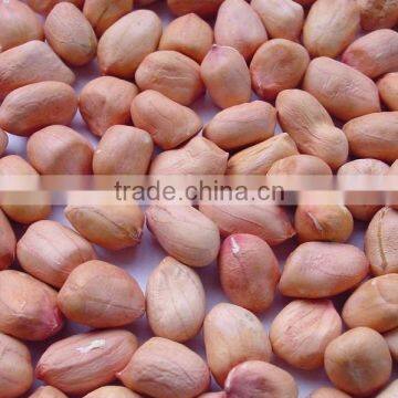 (Hight quality product)Red Peanut