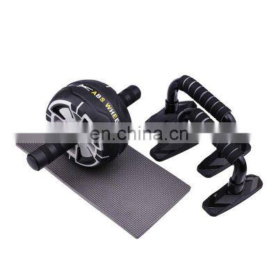 Wheel Roller of Home Gym Hot Sale Ab Roller with Push Up Stand Fitness Exercise Push Up Bar Of Workout Equipment of Ab Wheel