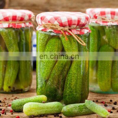 High Quality Best Selling Pickled Cucumber/Tasty Pickled Cucumbers Best Price From Vietnam photo-2