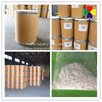 Hot Sale Insecticide Pour Chenille Dinotefuran 98%tc Cas 165252700 With Competitive Price photo-4