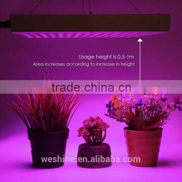 Companies Looking for Partners CE RoHS Approved Cheap Square 45W 225 Hans Panel LED Grow Light for Veg Fruit Bloom Lights photo-6