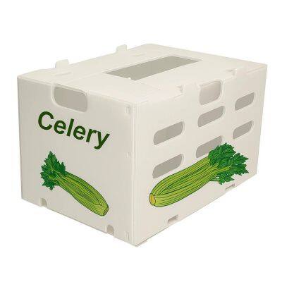 Wholesale Corrugated Plastic / Coroplast Boxes for Fruit and Vegetable photo-3