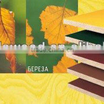 Top Quality Film Faced Plywood photo-3