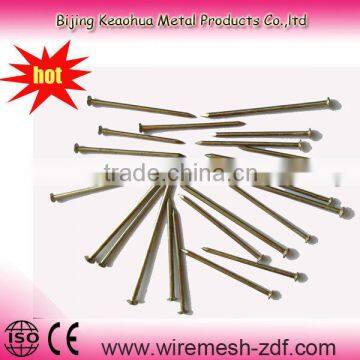 HOT SALE common iron nails on FACTORY PRICE