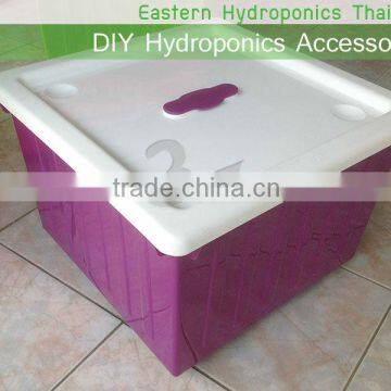 Hydroponics Nutrient