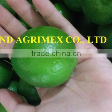 VIETNAM FRESH AND FROZEN GREEN LEMON/LEMON/LIME WITHOUT SEED NEW HARVEST