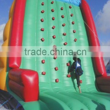 Matterhorn inflatable climbing wall for sale