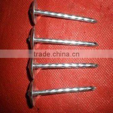 fast sell size 2"x10bwg galvanized roofing nails