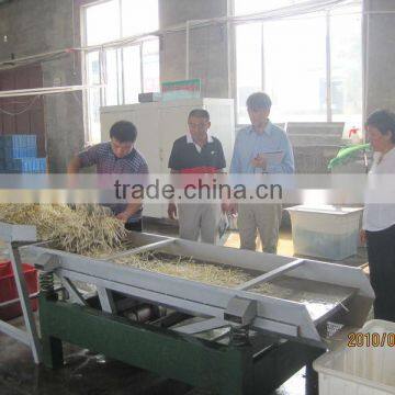 2013 large model bean sprout shaking sheller