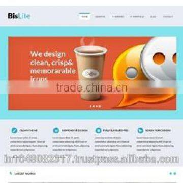 Responsive Website Designing Services India photo-3